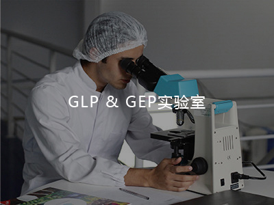 GLP&GEP尝试室介绍