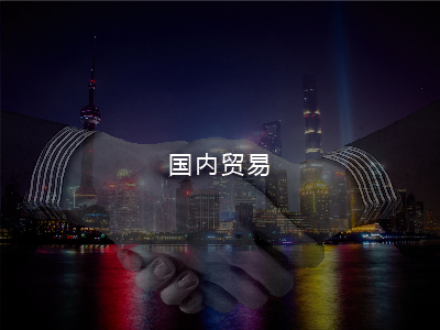 国内业务
