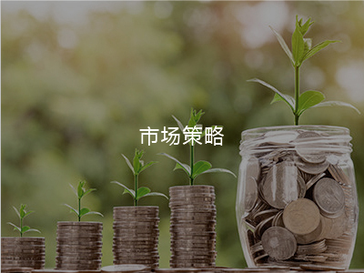市场战术